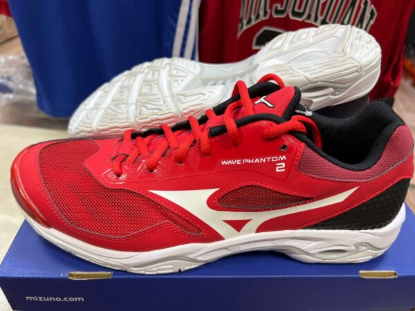 Мужские волейбольные кроссовки Mizuno Wave Phantom 2 (X1GA1860-62)