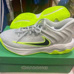 Кроссовки Nike GIANNIS IMMORTALITY 4